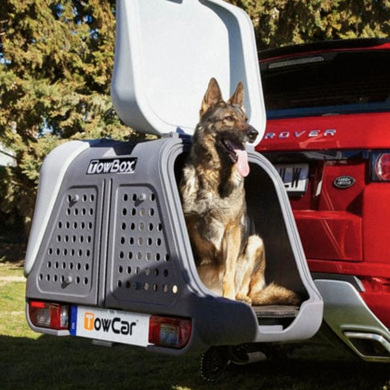 TOWBOX V2 DOG